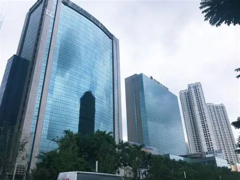 越南新武